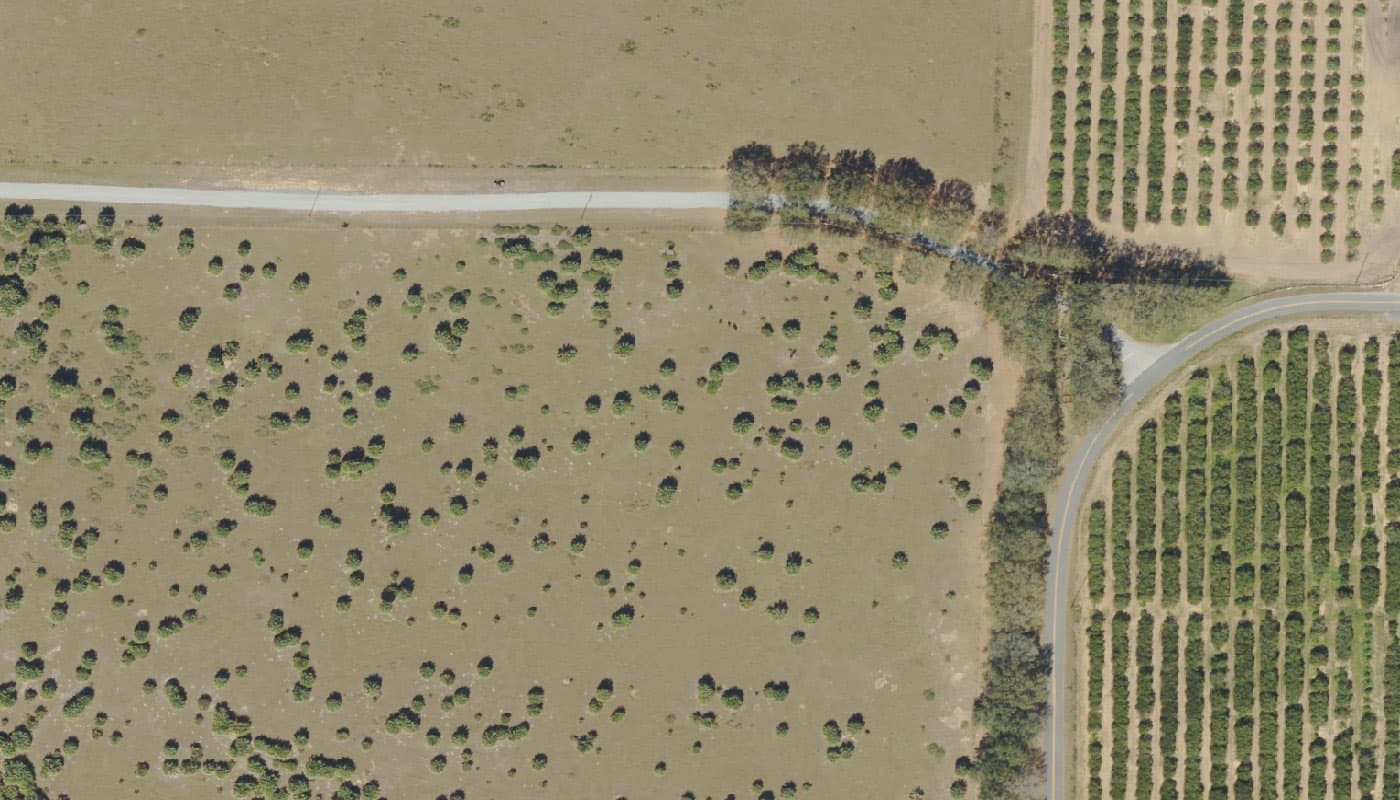 Aerial photograph of the clubhouse and amenities at Cresswind at Lake Harris