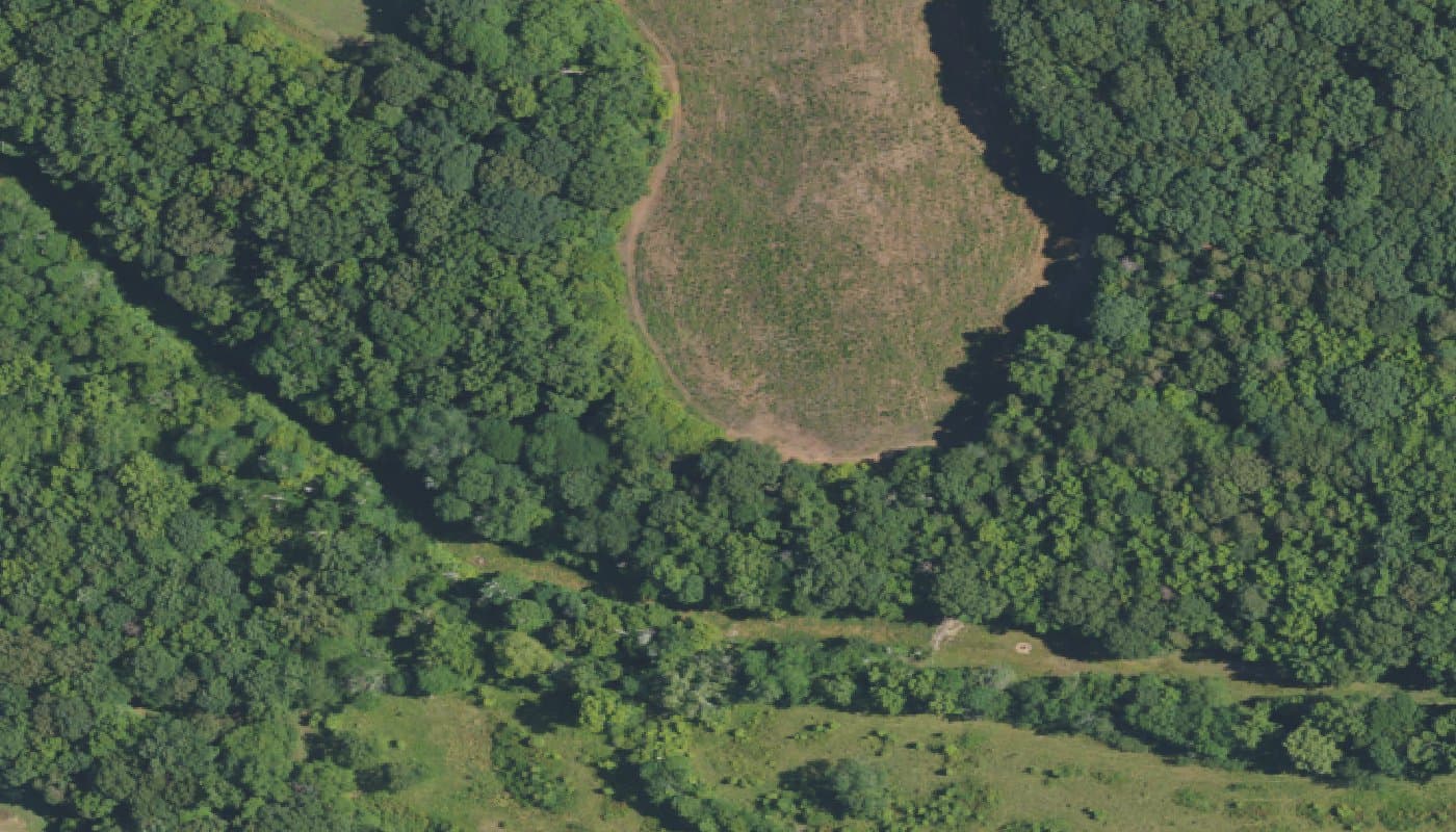 Aerial photograph of the clubhouse and amenities at Cresswind Wesley Chapel